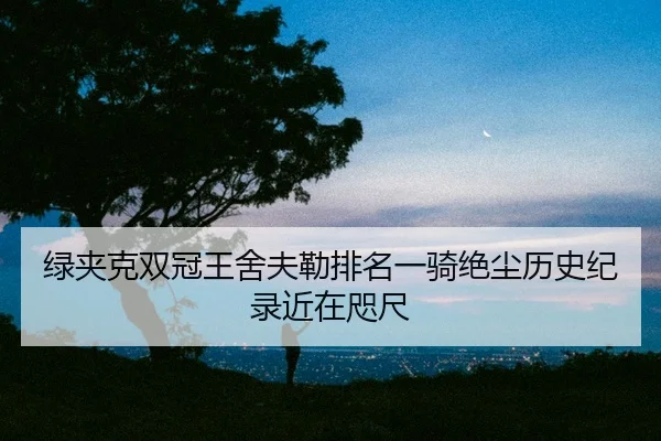 lv-jia-ke-shuang-guan-wang-she-fu-lei-pai-ming-yi-qi-jue-chen-li-shi-ji-lu-jin-zai-zhi-chi-2-419.jpg